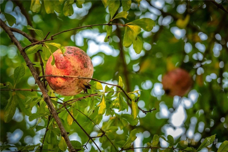 5bf5145f28e39.jpg 微信圖片_20181121160618.jpg