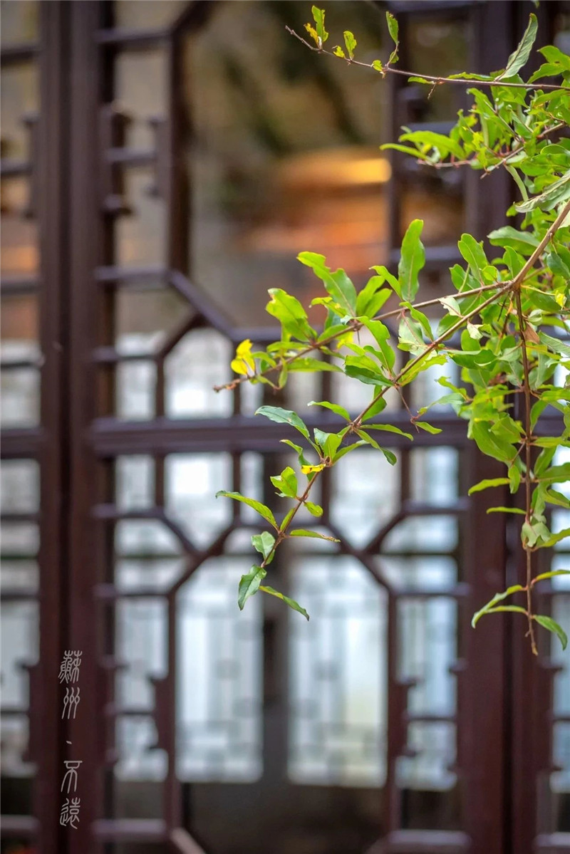 5bf514748c1ac.jpg 微信圖片_20181121160621.jpg