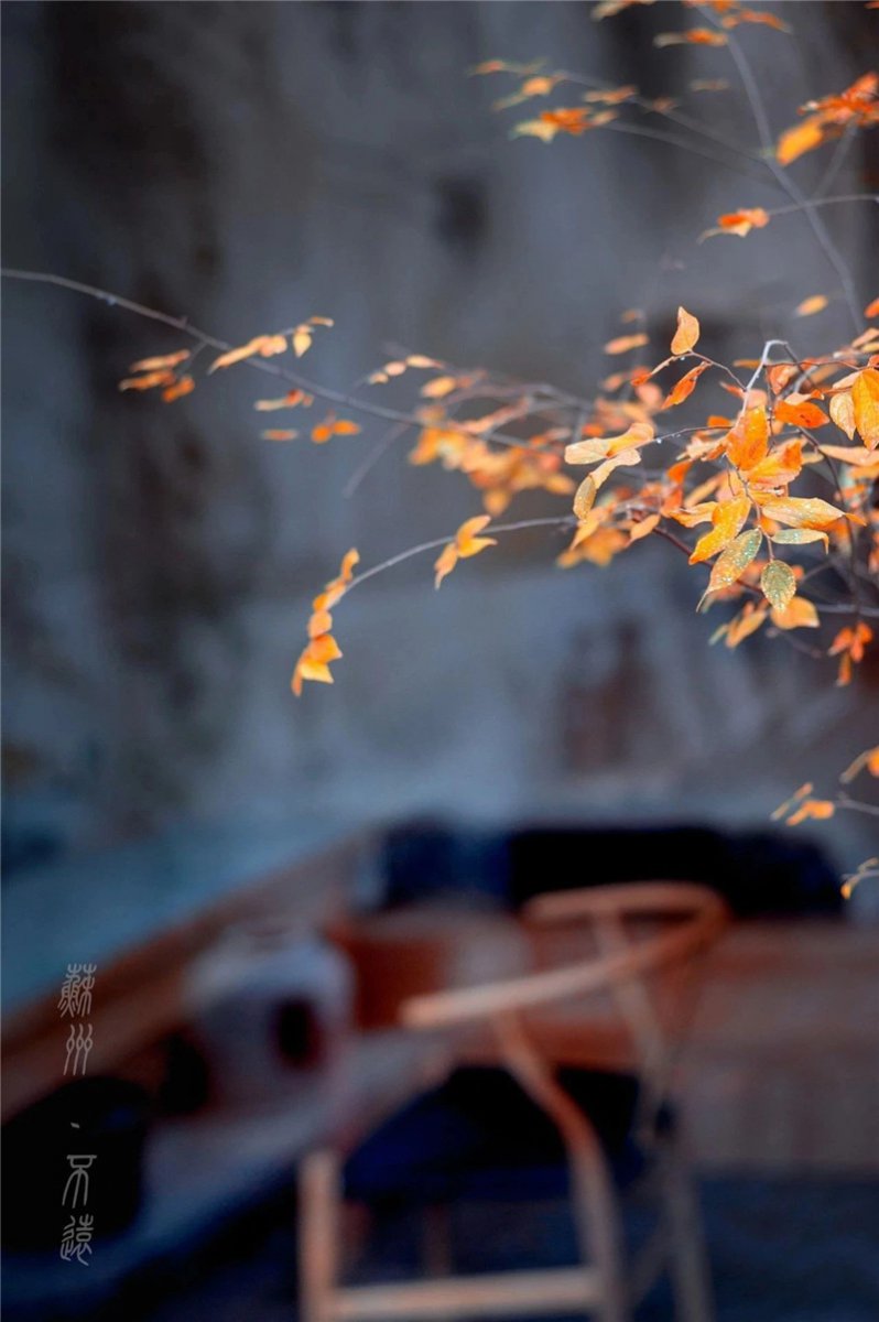 5bf51487c18a5.jpg 微信圖片_20181121160623.jpg