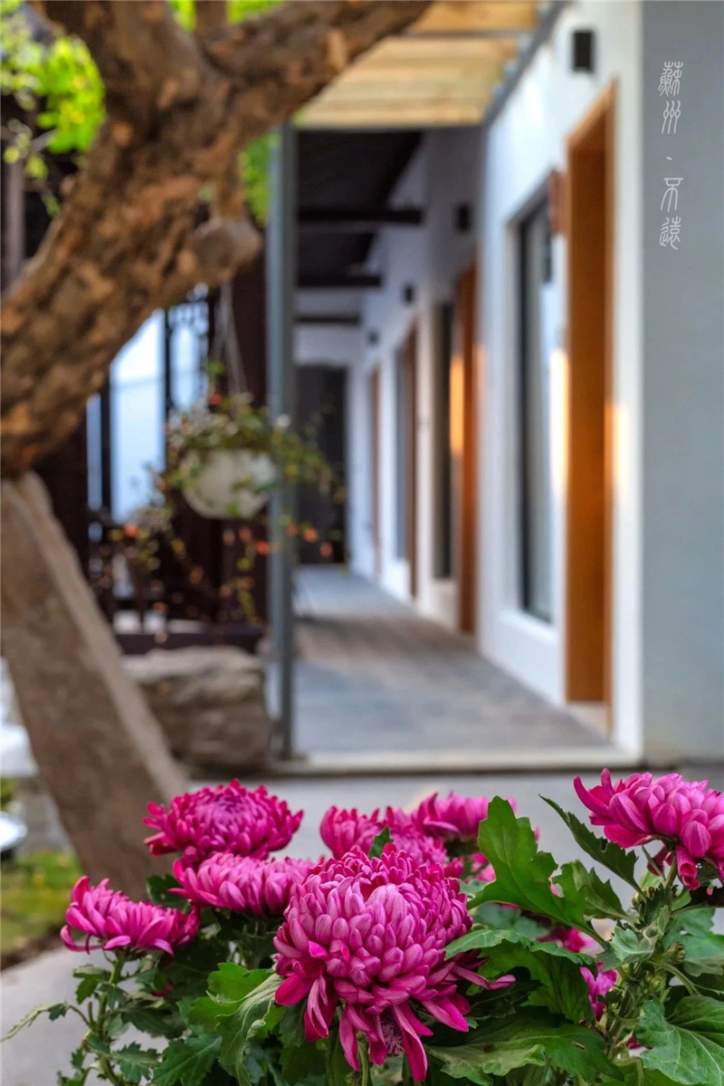 5bf514bed883c.jpg 微信圖片_20181121160636.jpg